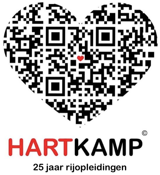 Een zeearend boven de Noorse kust, gefotografeerd tijdens de rijlesreis